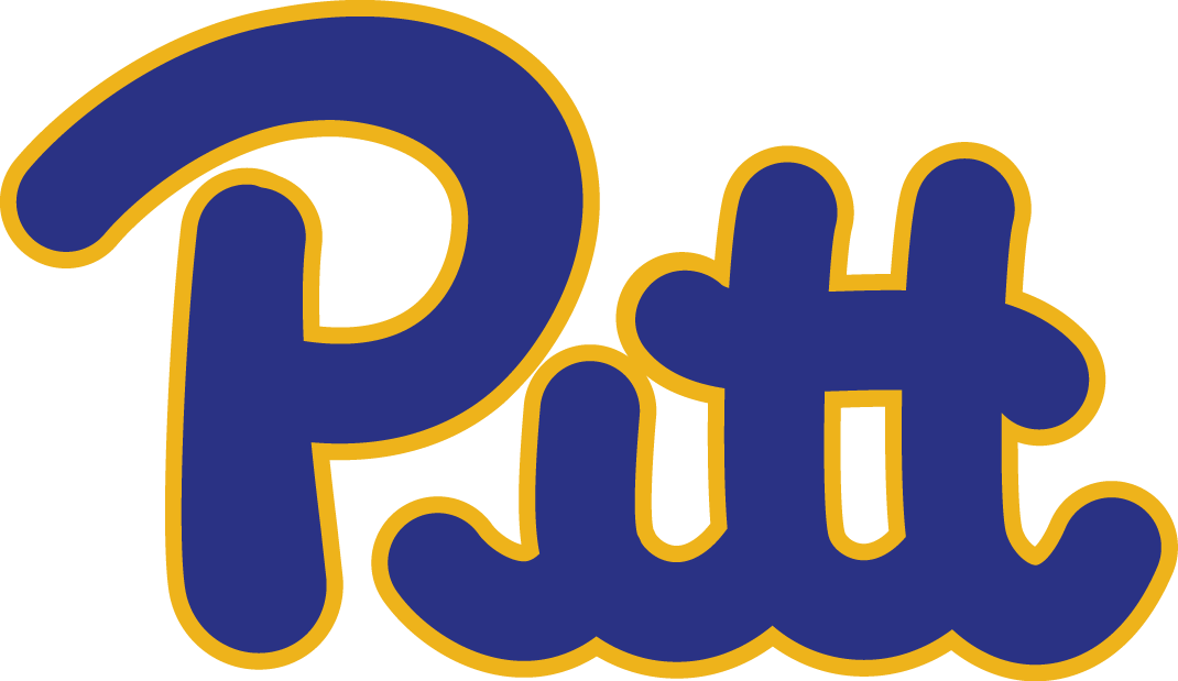 Pittsburgh Panthers 1973-1996 Wordmark Logo v2 iron on transfers for T-shirts